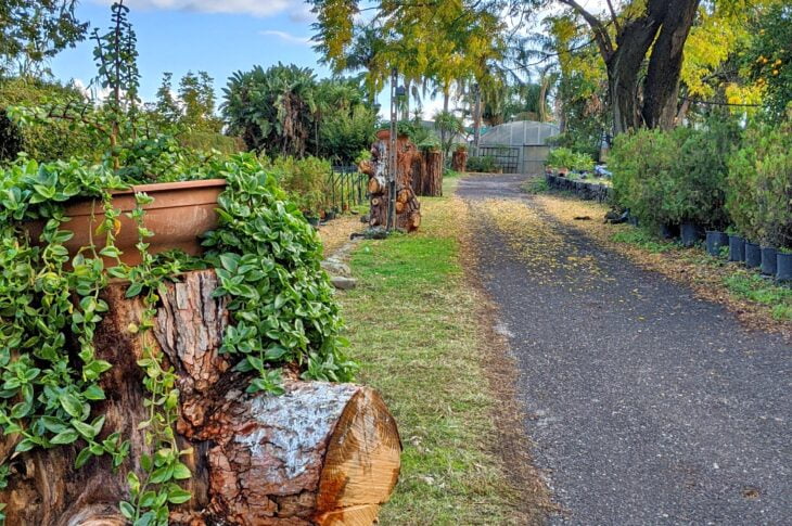 viale azienda 2